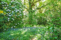 Images for Minstead, Lyndhurst, SO43
