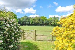 Images for Minstead, Lyndhurst, SO43