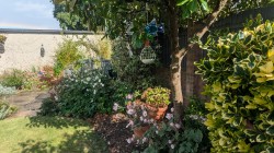 Images for Wolsey Close, Wells, Somerset