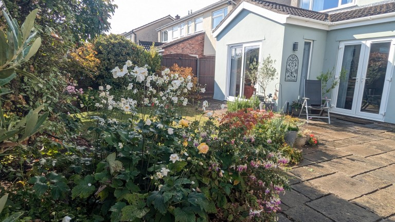 Images for Wolsey Close, Wells, Somerset