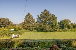 Images for Corsley, Wiltshire