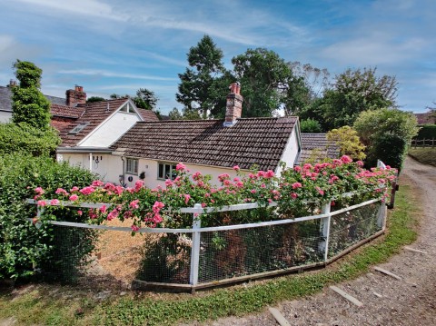 Click the photo for more details of Lester Square, Burley, Ringwood, BH24
