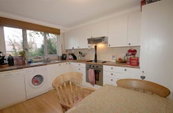Images for Britwell Salome