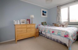 Images for Britwell Salome
