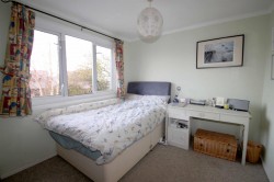 Images for Britwell Salome
