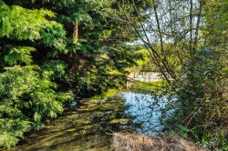 Images for Park Place, Castle Cary, Somerset