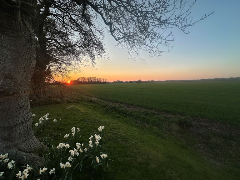 Images for Lyndhurst Road, Bransgore, Christchurch, BH23