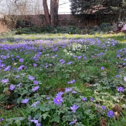 Images for Church View, Evercreech, Somerset