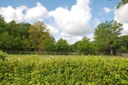 Images for Bennetts Lane, Burley, Ringwood, BH24