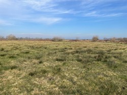 Images for Lot A - West Drove, Chilton Polden, Somerset