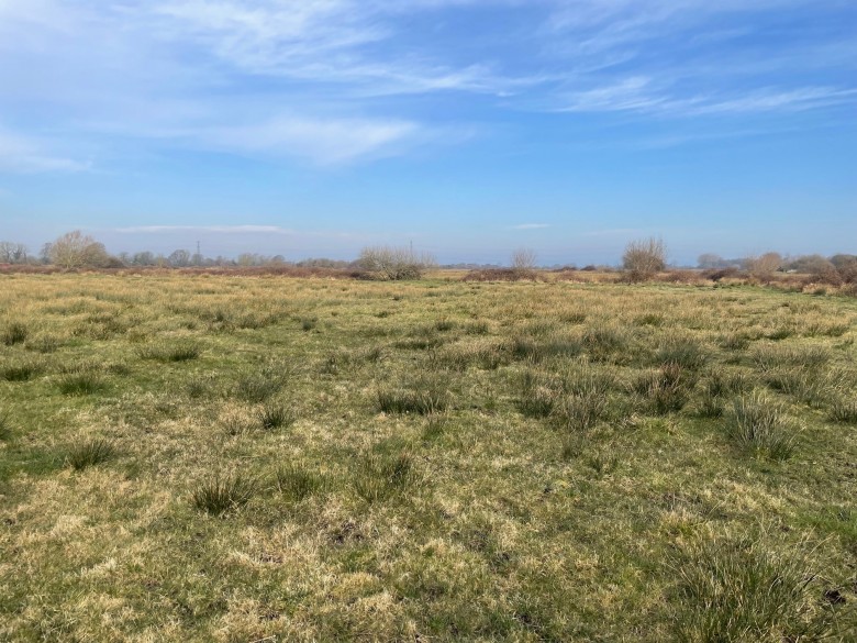 Click the photo for more details of Lot A - West Drove, Chilton Polden, Somerset