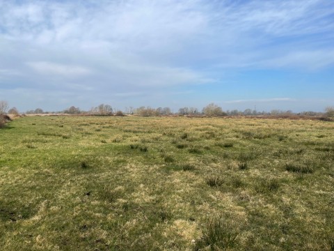 Click the photo for more details of Lot A - West Drove, Chilton Polden, Somerset