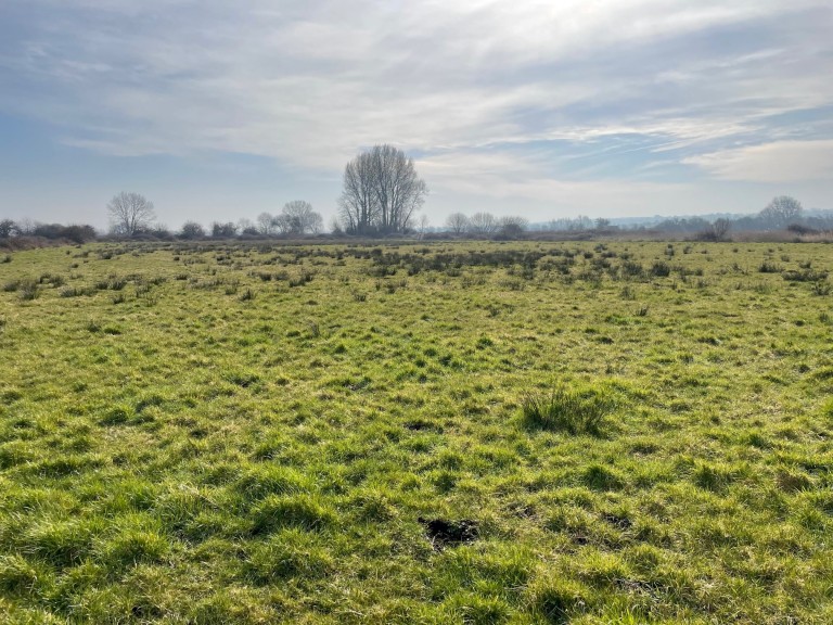 Images for Lot A - West Drove, Chilton Polden, Somerset