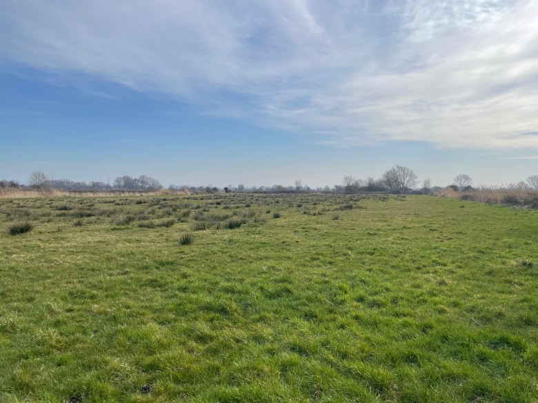 Click the photo for more details of Lot B - West Drove, Chilton Polden, Somerset