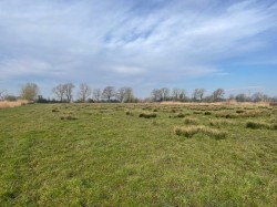 Images for Lot B - West Drove, Chilton Polden, Somerset