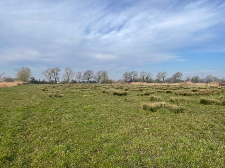 Images for Lot B - West Drove, Chilton Polden, Somerset