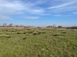 Images for Lot B - West Drove, Chilton Polden, Somerset