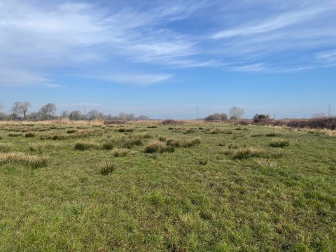 Click the photo for more details of Lot B - West Drove, Chilton Polden, Somerset