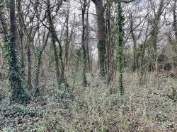 Images for Dials Gate Lane, West Lydford, Somerton, Somerset