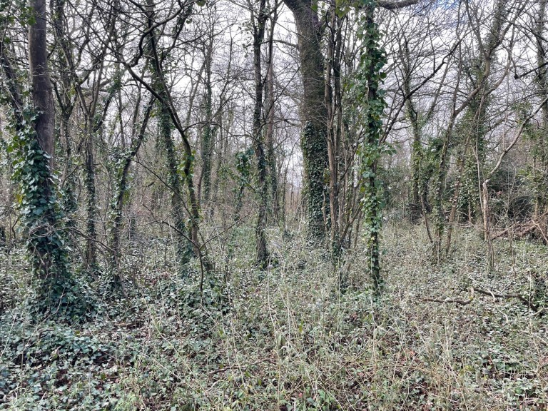 Images for Dials Gate Lane, West Lydford, Somerton, Somerset