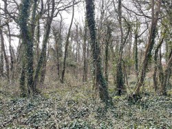 Images for Dials Gate Lane, West Lydford, Somerton, Somerset