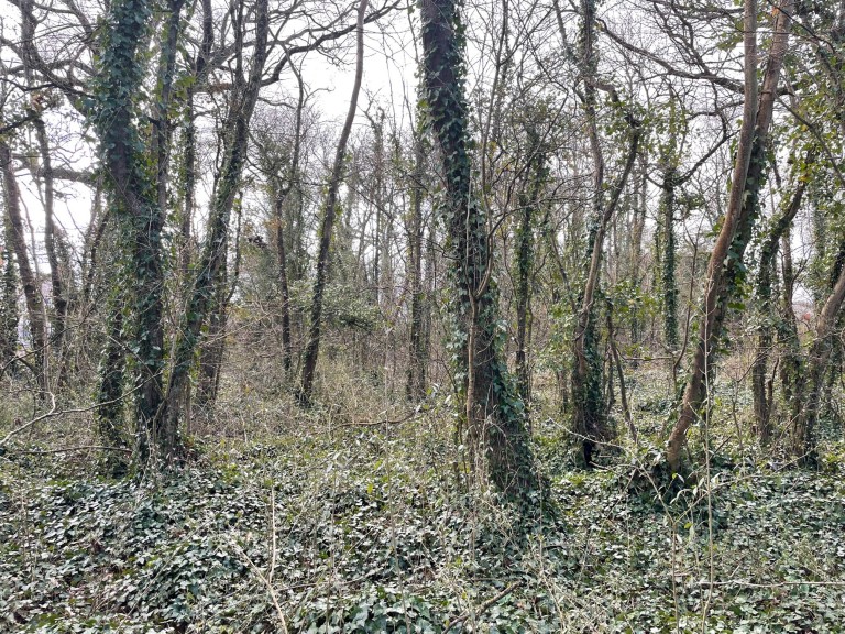 Images for Dials Gate Lane, West Lydford, Somerton, Somerset