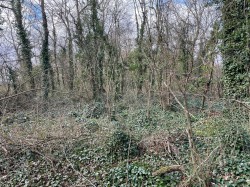Images for Dials Gate Lane, West Lydford, Somerton, Somerset