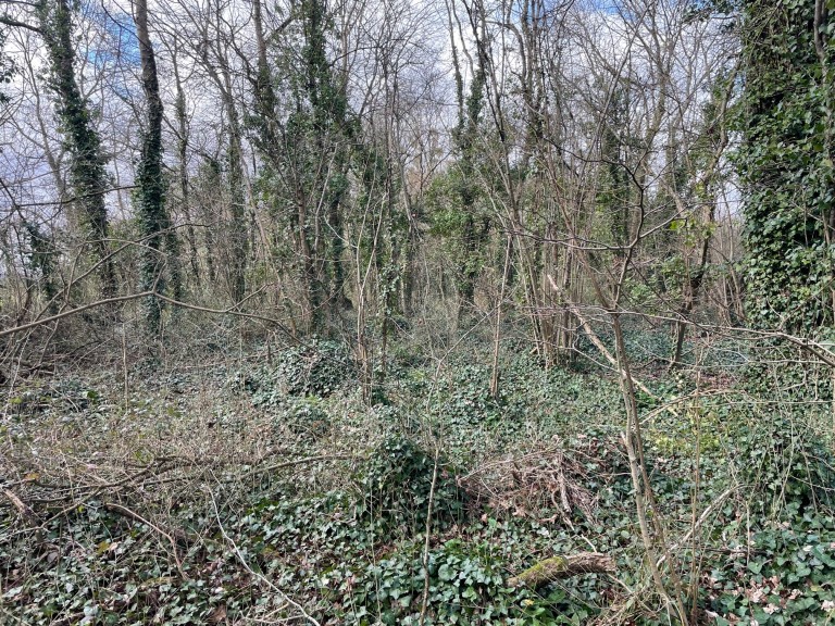 Images for Dials Gate Lane, West Lydford, Somerton, Somerset