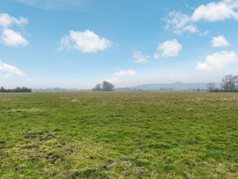 Click the photo for more details of Queens Sedgemoor, Long Drove, Glastonbury, Somerset