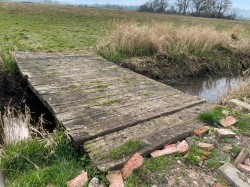 Images for Queens Sedgemoor, Long Drove, Glastonbury, Somerset