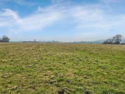 Images for Queens Sedgemoor, Long Drove, Glastonbury, Somerset