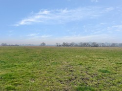Images for Queens Sedgemoor, Long Drove, Glastonbury, Somerset