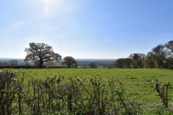 Images for Bagley, Wedmore, Somerset