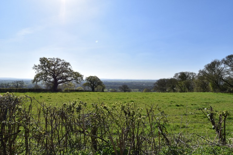 Images for Bagley, Wedmore, Somerset