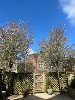 Images for Sunny Rise, Battle, East Sussex