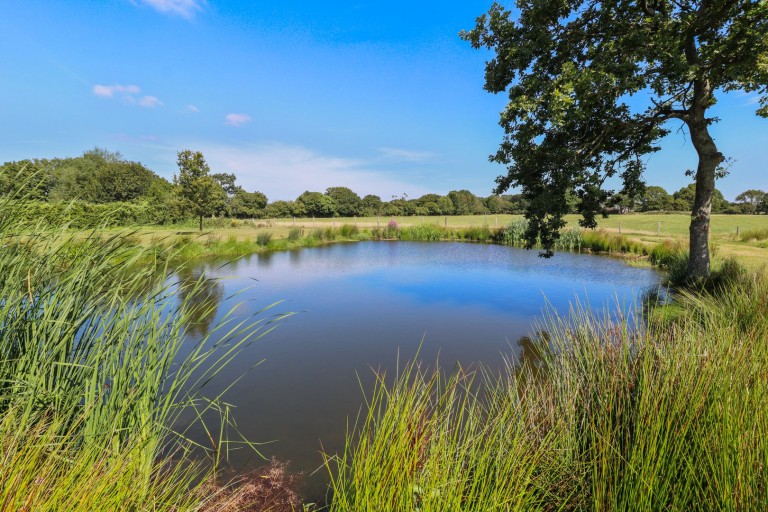 Images for Chalvington, East Sussex
