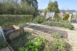 Images for Combe Batch, Wedmore, Somerset