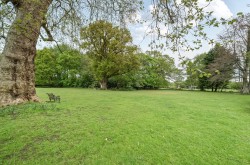 Images for High Street, Lyndhurst, SO43
