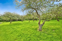 Images for Berhill, Ashcott, Somerset