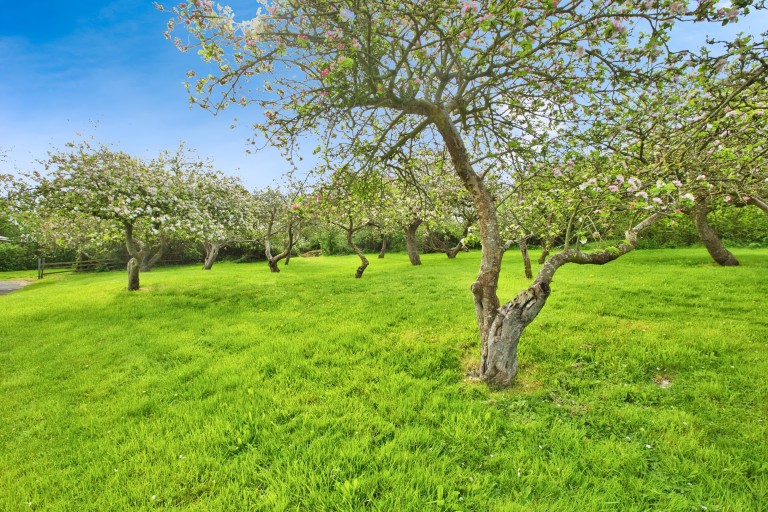 Images for Berhill, Ashcott, Somerset