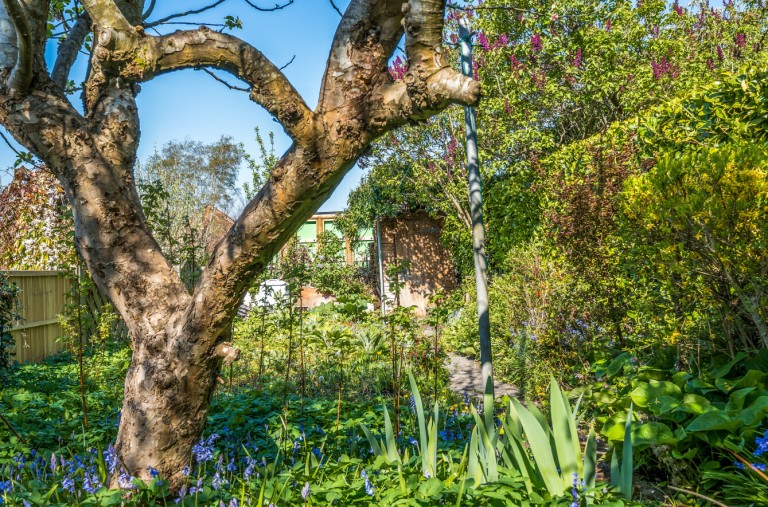 Images for Sambourne Road, Warminster, Wiltshire