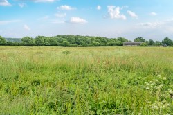 Images for Witham Friary, Somerset