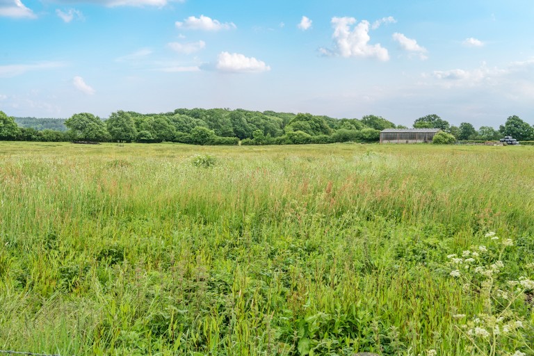 Images for Witham Friary, Somerset