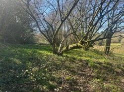 Images for Warminster