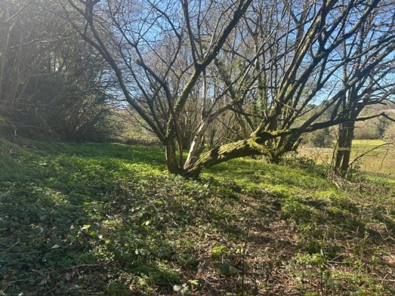 Images for Warminster