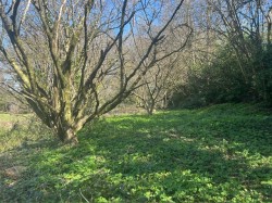 Images for Warminster