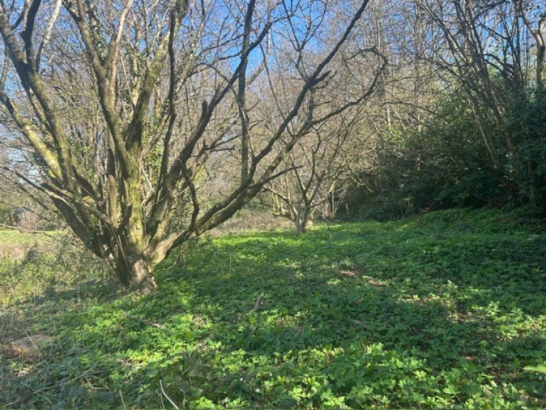 Images for Warminster