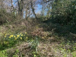 Images for Warminster