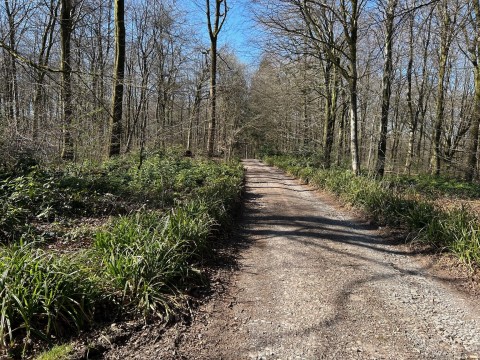Click the photo for more details of Cranmore, Nr Shepton Mallet