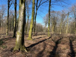 Images for Cranmore, Nr Shepton Mallet